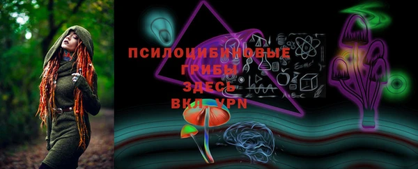 винт Мегион