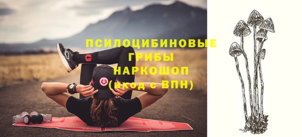 MDMA Медвежьегорск