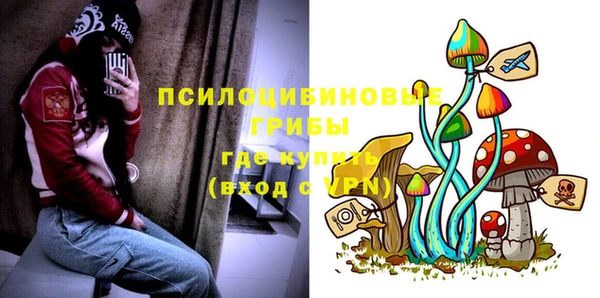 бутират Медногорск