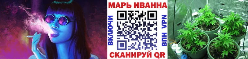 Конопля сатива  Юрьевец 